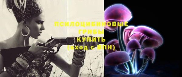 Альфа ПВП Алексин