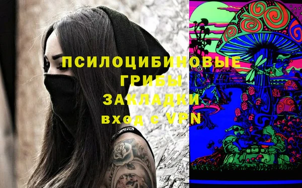 Альфа ПВП Алексин