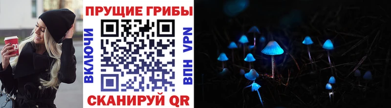 Псилоцибиновые грибы GOLDEN TEACHER  Островной 