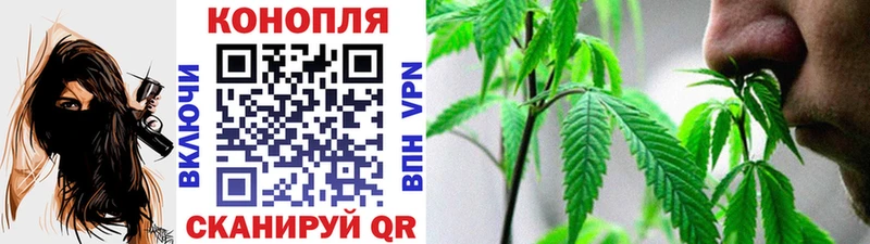 Шишки марихуана планчик Островной